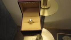 IMG_0390-威德钻石-克拉钻大本营(南京东路店)