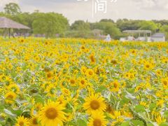 -上海杨姆庄园