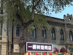 -一棵树烧烤店(中央大街店)