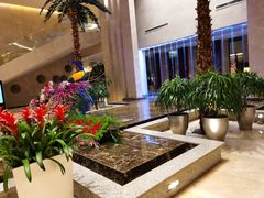 -常州环球恐龙城维景国际大酒店