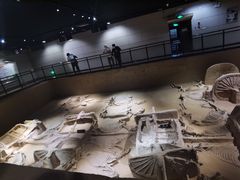 -洛阳周王城天子驾六博物馆