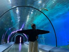 -福州罗源湾海洋世界旅游区
