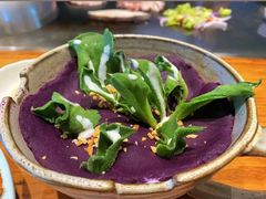 山多肉盆栽-漫渡庄绿岛花园•隐世庭园菜(滨湖店)