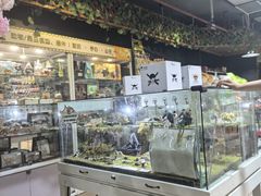 -上海大自然野生昆虫馆(东方明珠·爬宠昆虫探索中心)