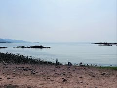 -小麦岛公园