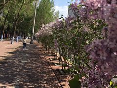 -黑龙江中医药大学
