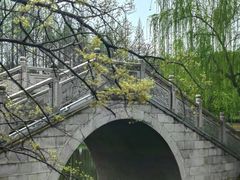 -泰州凤城河风景区-泰山公园