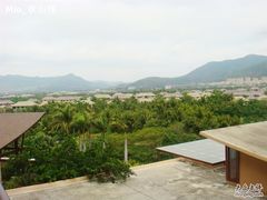 DSC04736-三亚亚龙湾红树林度假酒店