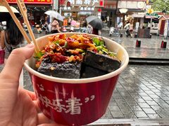 -黑色经典臭豆腐·湖南特产(坡子街特产局店)