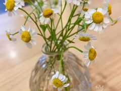 -红小满休闲餐厅(十全街店)