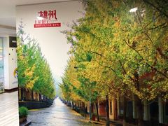 -南雄雄州土菜餐厅(粤北大厦店)