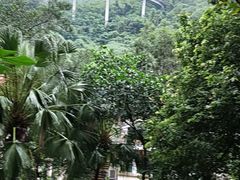 -梧桐山风景名胜区