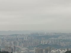 -大金鹰园