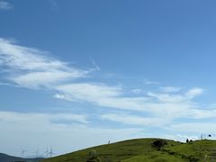 -大姆山草场