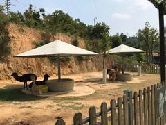 -泉州海丝野生动物世界