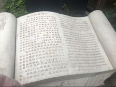 -重庆市江北嘴中央商务区中央公园