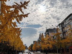 -首义路(地铁站)