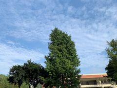 -四川大学(望江校区)