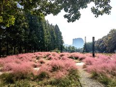 -钱塘江