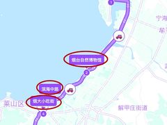 -东辰望海鱼码头·海鲜餐厅