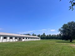 -北京群众马术培训基地