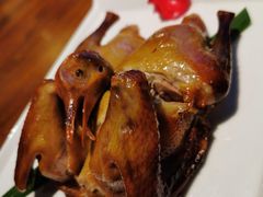 -燕郊烧鸽子(广安路店)