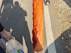 -四明山国家森林公园