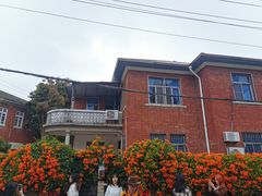 -溪岸路花鸟市场