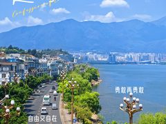 -野菌皇海景野生菌火锅(滨海大道店)