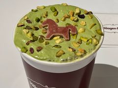 -哈根达斯(西安高新店)