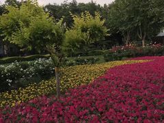 -裕华世纪公园