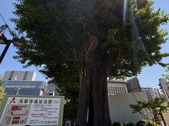 -浅草寺