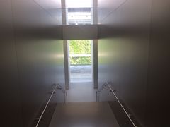 -Apple零售店(成都太古里店)