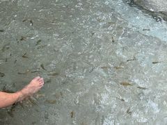 -碧水湾温泉