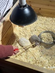 -酷嗒动物文化乐园(cutezoo西溪乐天城店)