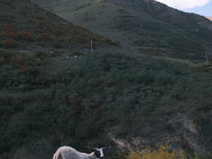 -冶力关旅游区