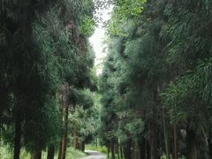 -太阳湾风景区