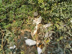 -成都华侨城欢乐里