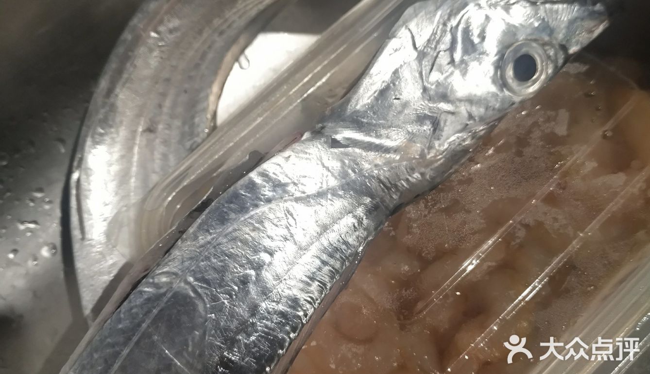 石浦海鲜快递