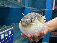 -永安鱼庄·镇江菜(丁卯店)