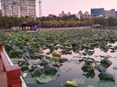 -南通濠河风景名胜区