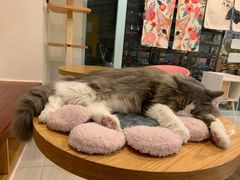 -10 corso como (江南店)