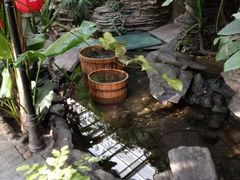 -大鹅岛绿色生态美食园