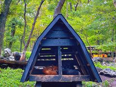 -宫城藏王狐狸村