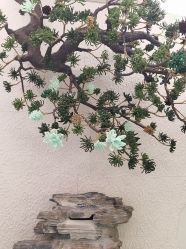 -卡尔诗·科技美肤连锁