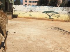 -昆明动物园