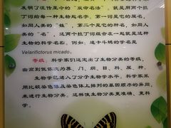 -上海昆虫博物馆