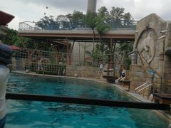 -新加坡水上探险乐园