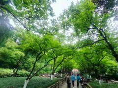 -鼓楼(西湖风景名胜区)