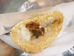 麻球-没牙伯花生汤店(老药洲店)